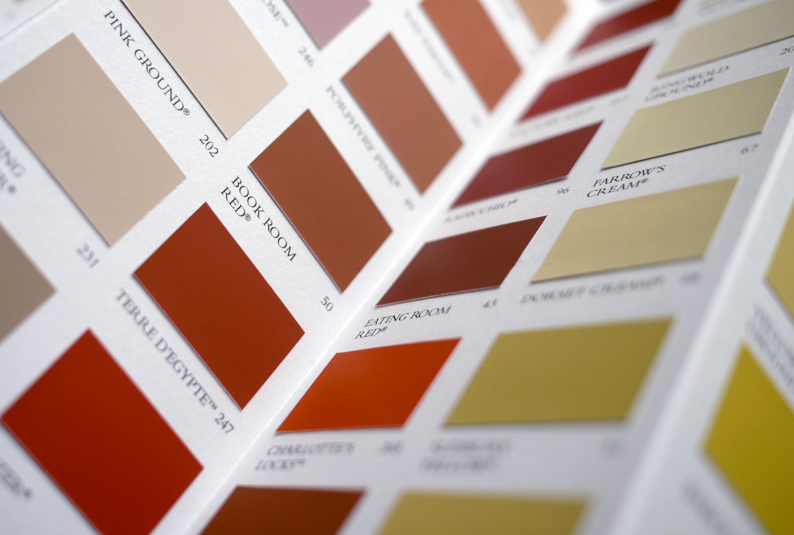 Paint colour cards fanned out on a table