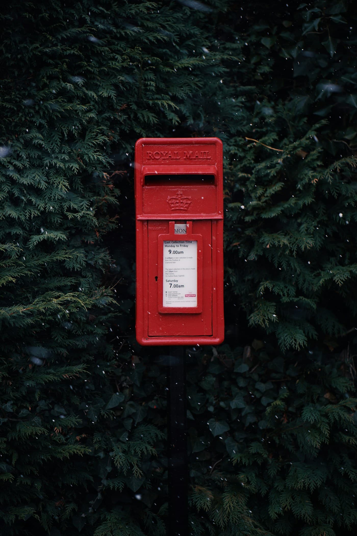 A red Royal Mail postbox set in a hedge