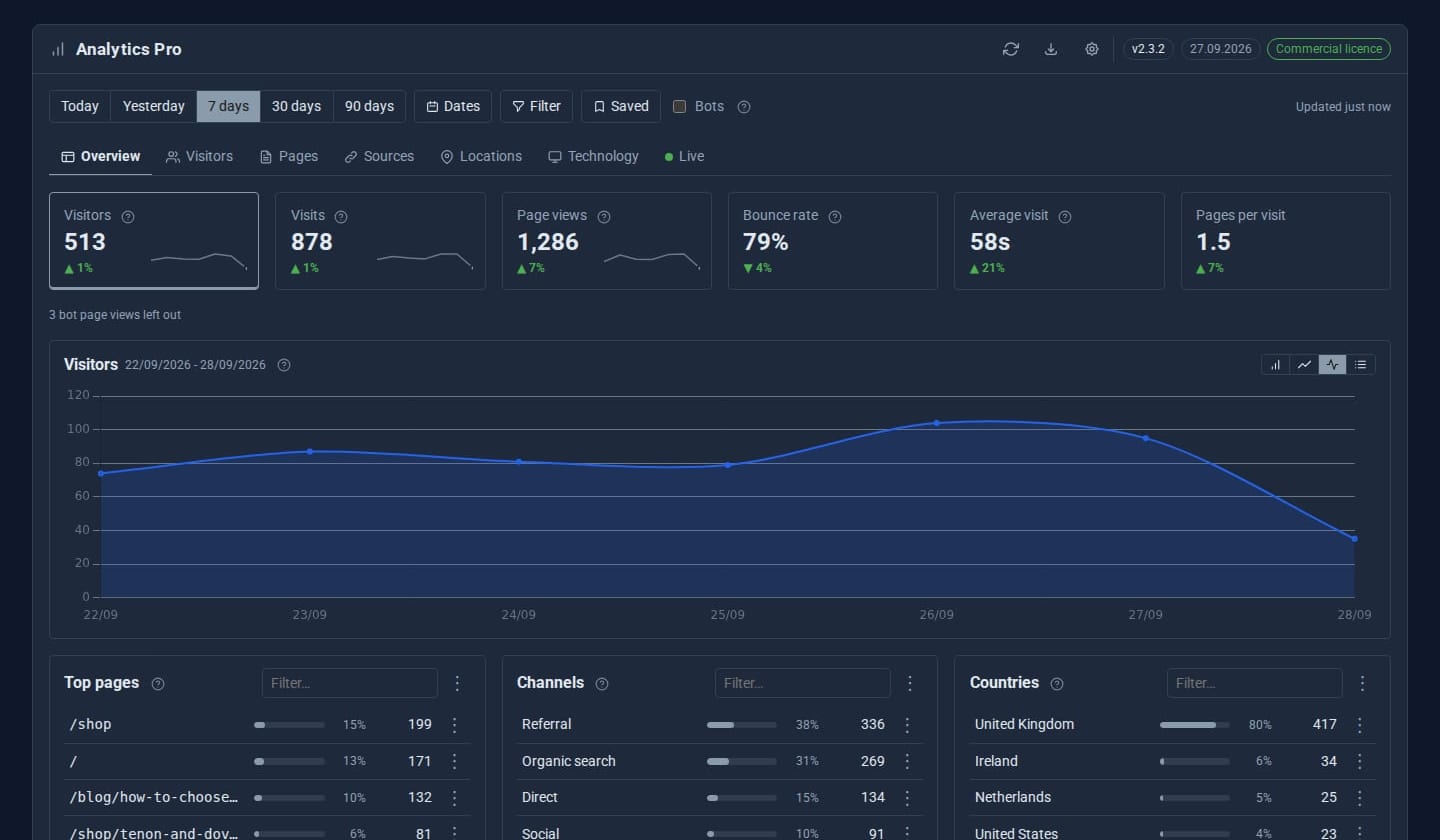 The Overview: visitors, visits and page views against the previous period, the traffic chart and the busiest-times heatmap.