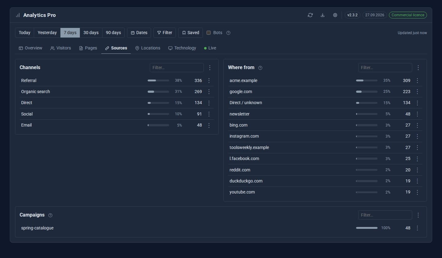 Sources: channels, the sites that sent people, and a newsletter campaign tagged with UTM.