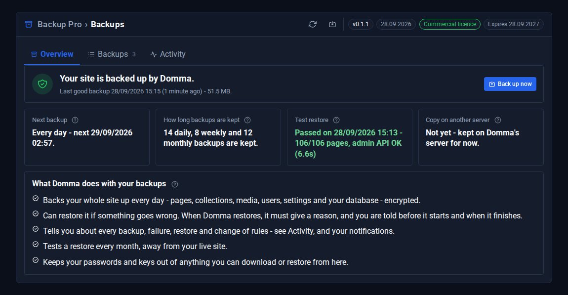 The Backup Pro overview on this very site: the last good backup, the next nightly run, the keep rules, a passed test restore of 106 of 106 pages, and what Domma does with your backups.