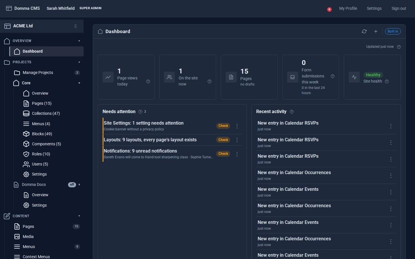 The Domma CMS dashboard with page views, visitors, pages and site health